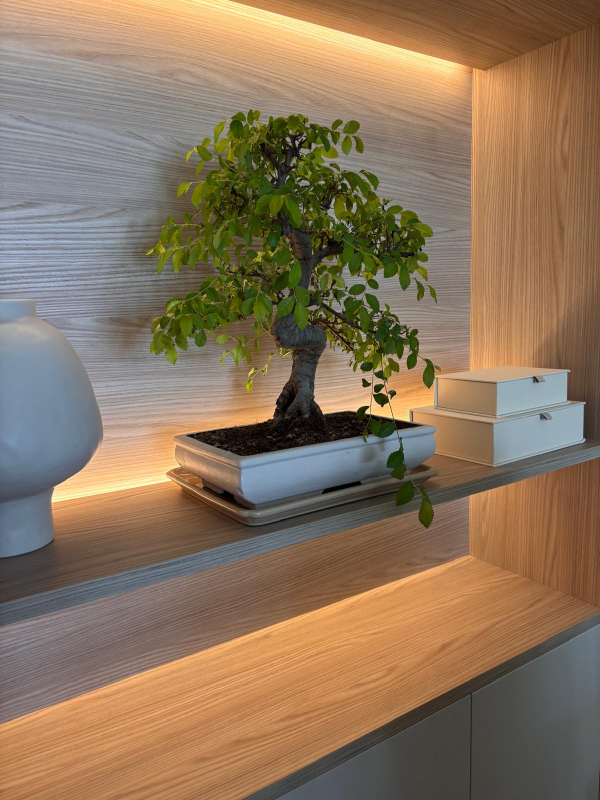 Jak dobrać barwę światła do pomieszczenia?